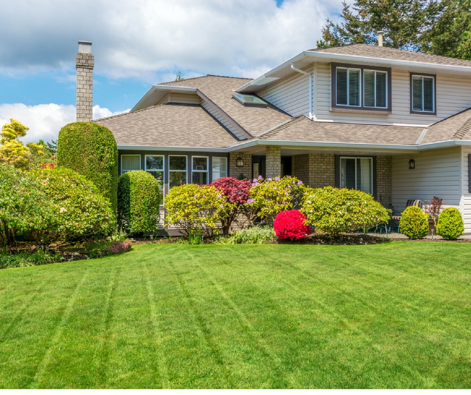 Exploring the Costs of Maintaining a Luxuriant Lawn: Financial Projections